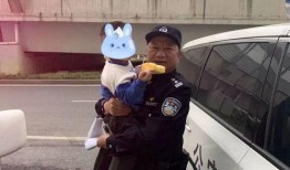 交警爆料拐卖儿童案件最新消息,警方破获拐卖儿童案件，最新进展揭秘